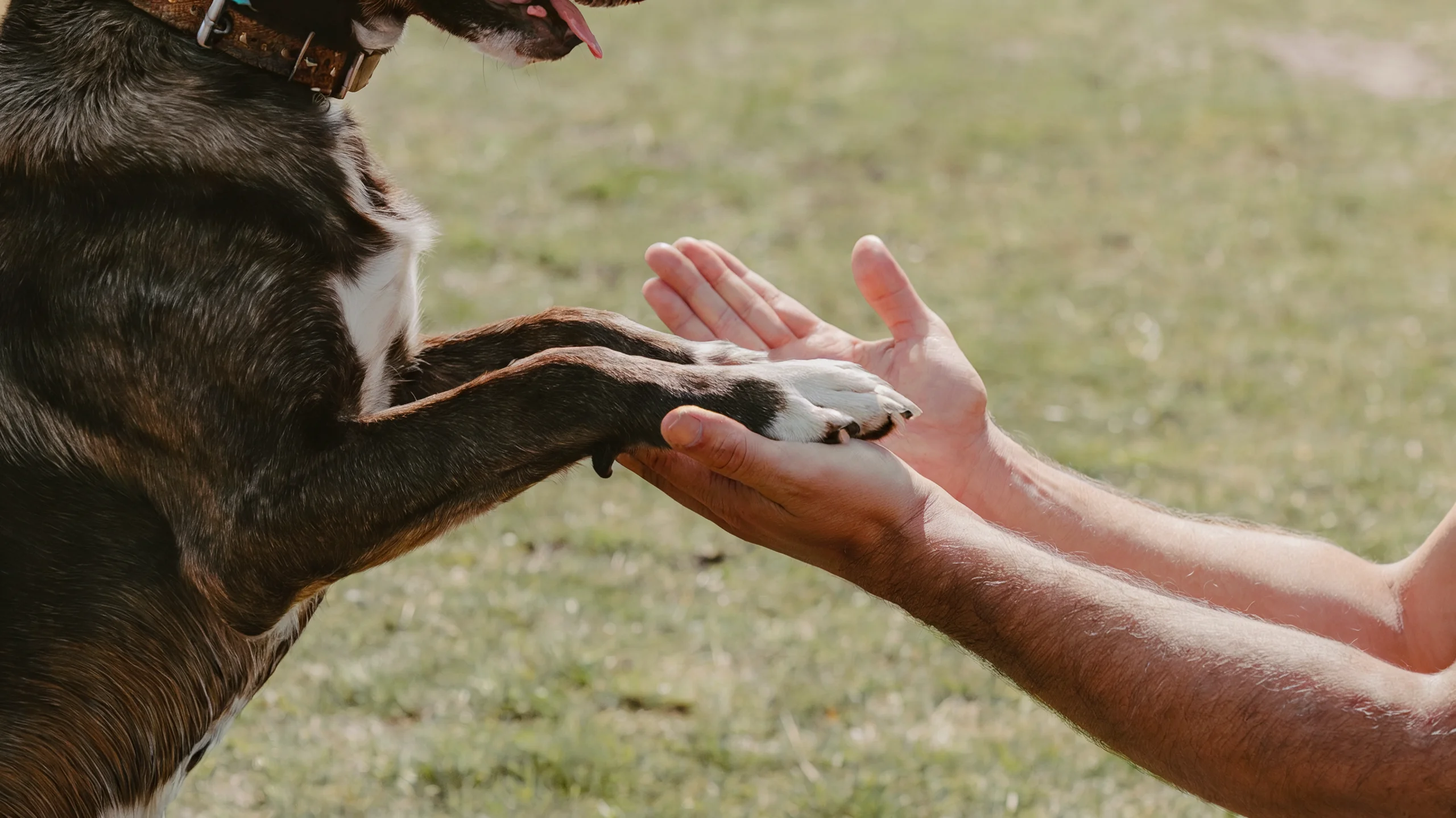 Informazione e sensibilizzazione
