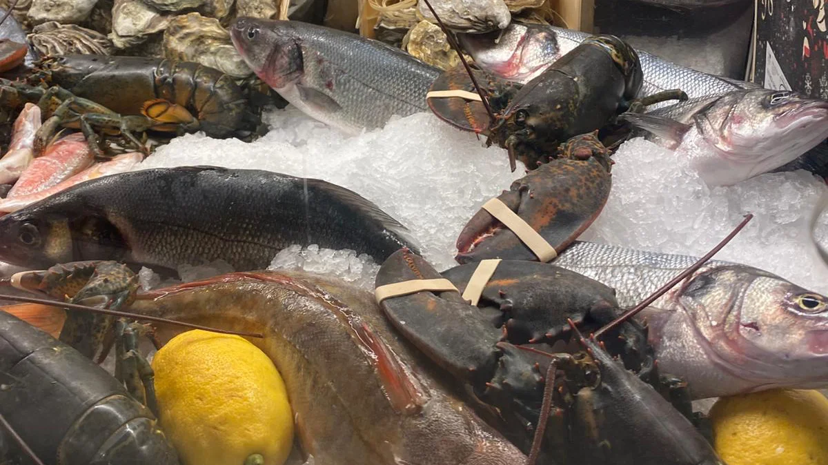 astici-vivi-ghiaccio