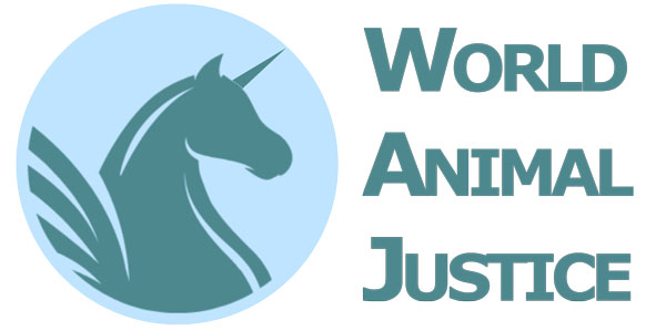 World Animal Justice