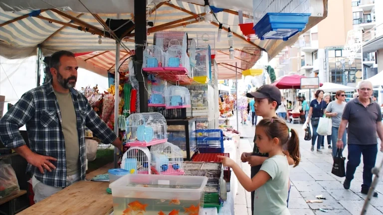 Mercato settimanale animali vivi