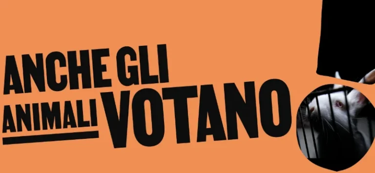 Vote for Animals