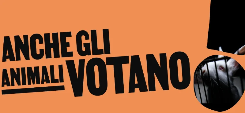 Vote for Animals