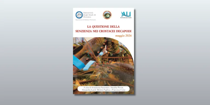 La senzienza dei crostacei: il parere dell’Università italiana